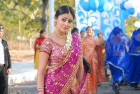 Shriya Beautiful Photos